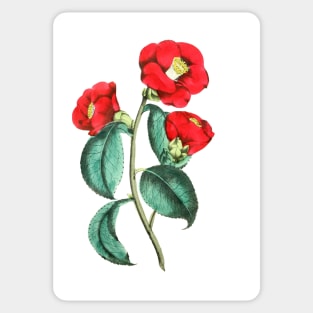 Flower Sticker